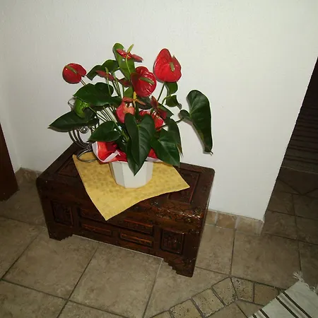 דירה Haus Weidmannsheil