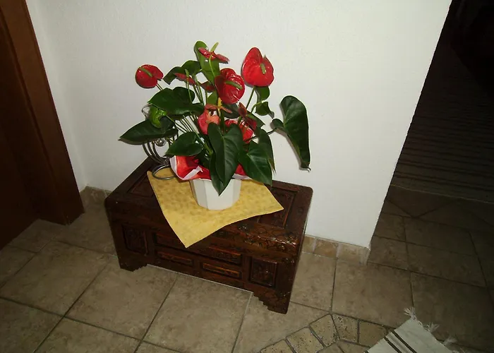 Διαμέρισμα Haus Weidmannsheil